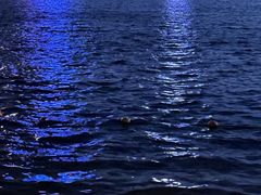 -天鹅湖体育公园