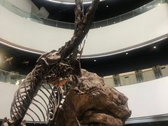 -昆明动物博物馆