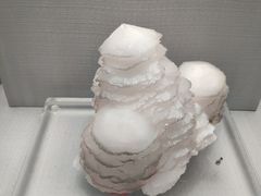 -长沙北辰洲际酒店-兰调全日餐厅