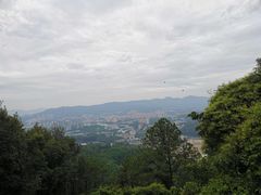 -火炉山森林公园
