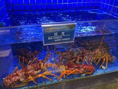 水产区-苏福记·海鲜佬(凤城四路店)