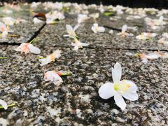 -火炉山森林公园