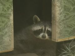 -青藏高原野生动物园