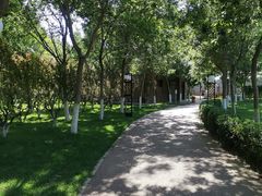 -九十九顶毡房(阜石路店)