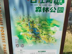 -广州白江湖森林公园