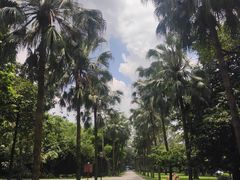 -华南国家植物园-售票处