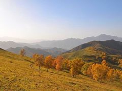 -灵山