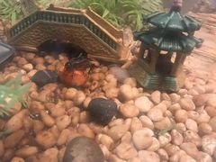 -上海昆虫博物馆