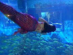 -威海华夏城景区