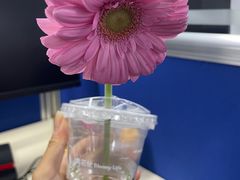-向花仕Bloomy Life咖啡鲜花(益田假日店)