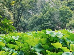 -成都杜甫草堂博物馆