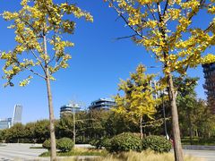 -上海山野camping·户外天幕烧烤·团建拓展营地