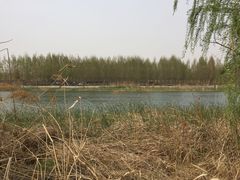 -淇河国家湿地公园