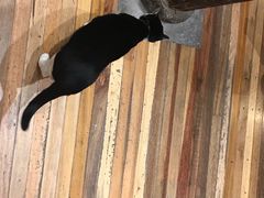 -猫的天空之城概念书店(杭州南宋御街店)