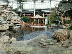 android_upload_pic-龙达温泉生态城