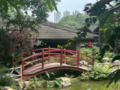 -乡村酒家·湖景客家菜(观澜店)