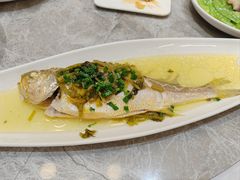 -老绍兴养和饭店(向阳不夜城店)