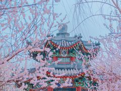 -颐和园