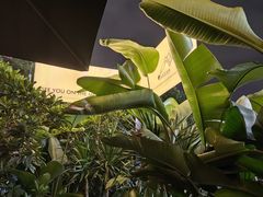 -MEDISN·药厂