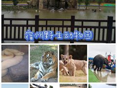 -皇藏峪国家森林公园