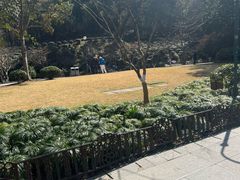 -杭州黄龙洞