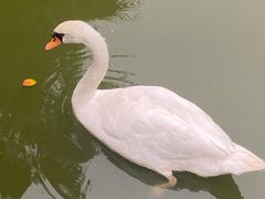-海合安武汉极地海洋公园