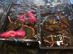 -峰少印宴·私房菜·生猛海鲜·地道水乡菜(万江店)