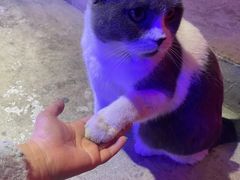 -剧狐剧本杀·月球探案馆(人民广场1号店)