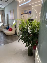 -联合丽格·张菡丽格医疗美容