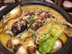 -探鱼·鲜青椒爽麻烤鱼(增城东汇城店)