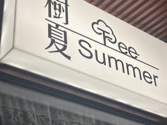 -树夏Tree Summer