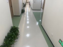 -苏州维多利亚美容医院