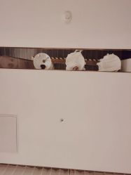 -丝域养发馆
