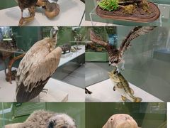 -国家自然博物馆