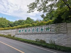 -中国茶叶博物馆(双峰馆区)