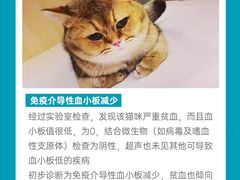 -美联众合动物医院·24h转诊中心