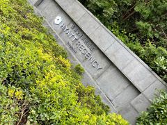 -上海崇明金茂凯悦酒店