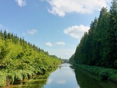 -黄海国家森林公园