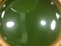 -無邪日式甜品(华润五彩城购物中心店)