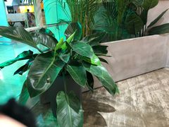 -鲜果盒子(会展店)