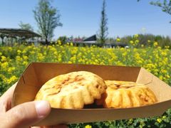 -田园东方蜜桃村的田野营地