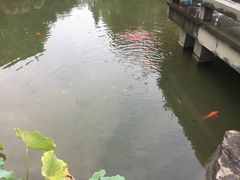-桐庐开元名都大酒店