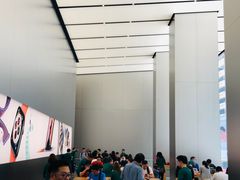 -Apple 零售店(Canton Road)