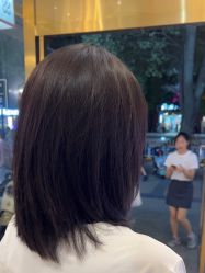 -YESIDO椰岛造型