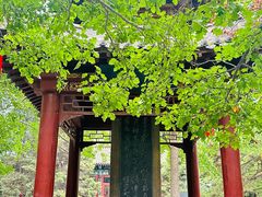 -碑林公园