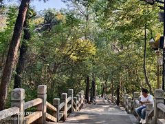 -灵岩山风景区
