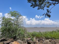 -上海吴淞炮台湾国家湿地公园