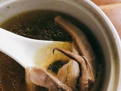 墨鱼炖鸡-玉滋補