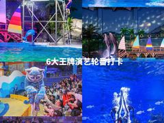 -海合安武汉极地海洋公园