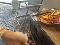 -J Create城市露营咖啡·简餐·宠物(上海动物园店)